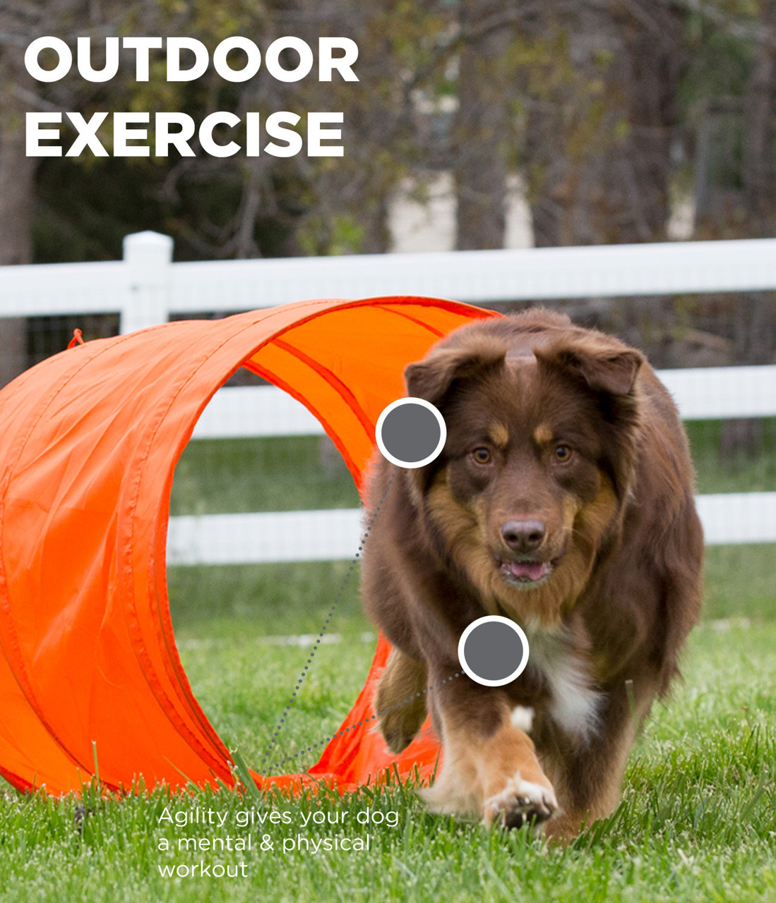 Outdoor Agility Kit